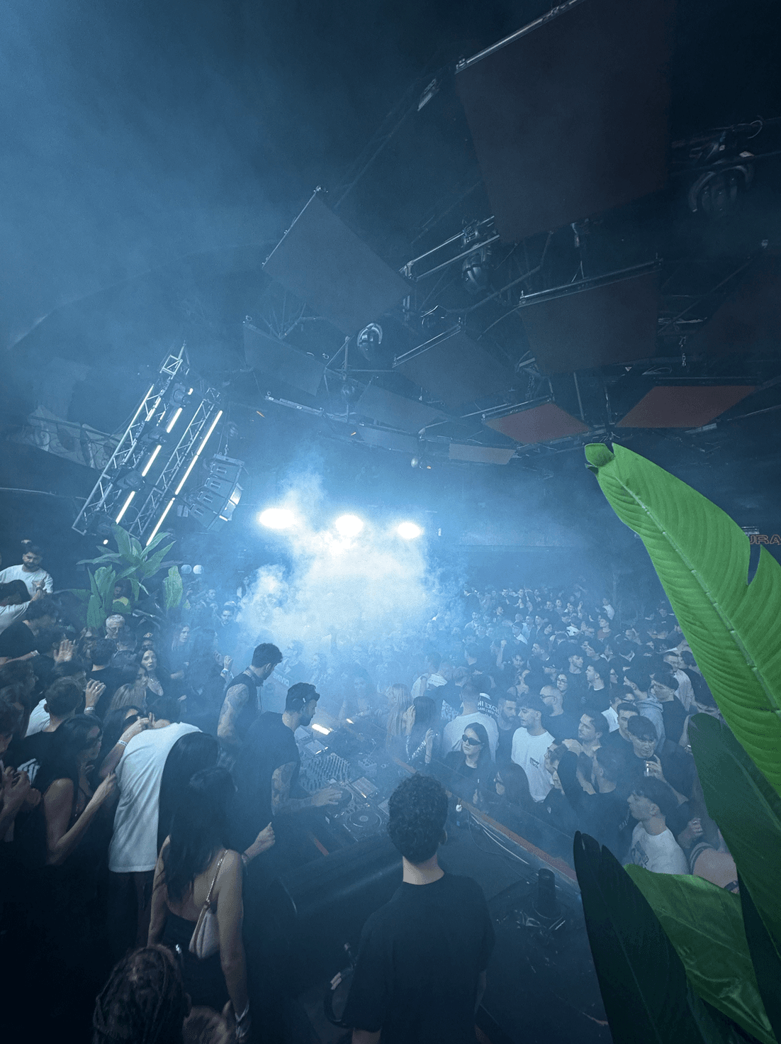 Miutifin hero background